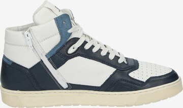 SIOUX Sneakers hoog 'Tedroso-705' in Blauw