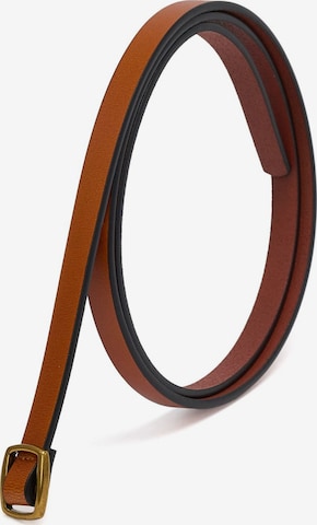 jolar Belt in Brown: front