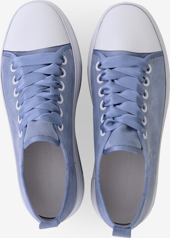 Kennel & Schmenger Sneakers laag 'ELAN' in Blauw