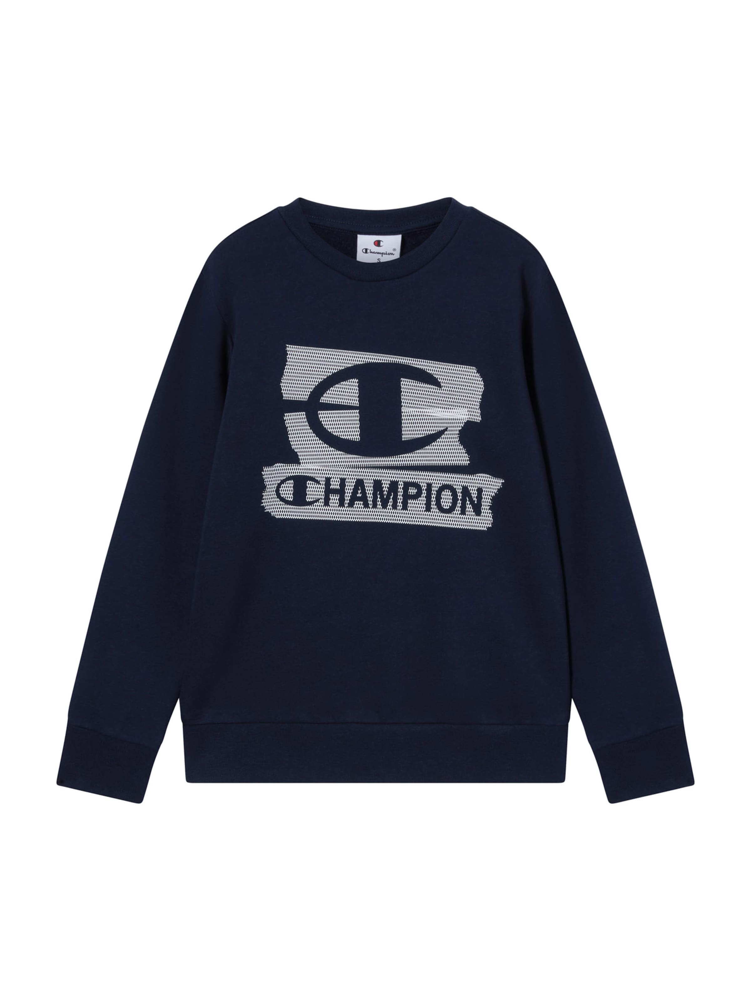 Champion Authentic Athletic Apparel Свитшот в Синий: спереди