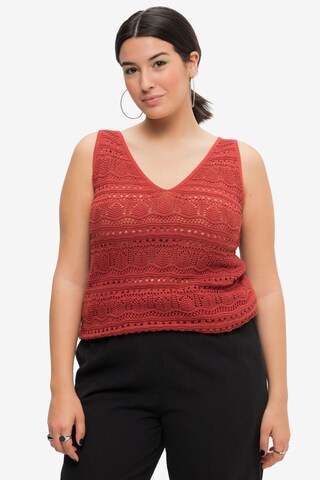 Studio Untold Knitted Top in Red: front