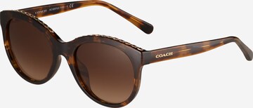 COACH Sunglasses '0HC8297U' in Brown: front