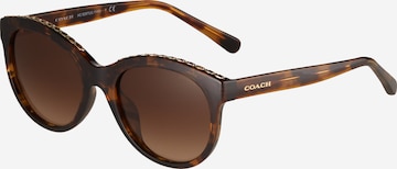 COACH Solbriller '0HC8297U' i brun: forside