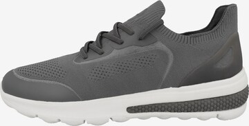 GEOX Sneaker  'Spherica Actif' in Grau