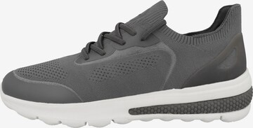 GEOX Sneakers 'Spherica Actif' in Grey