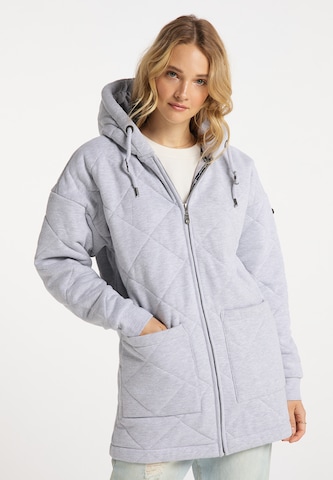 DreiMaster Vintage Zip-Up Hoodie in Grey: front