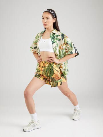 ADIDAS PERFORMANCE Свободный крой Спортивные штаны 'Adidas x FARM Rio' в Желтый