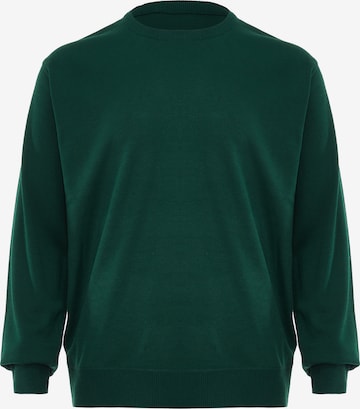RAIDO Sweater in Green: front