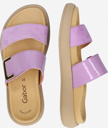 GABOR Mules in Purple