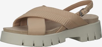SANSIBAR Strap Sandals in Beige: front