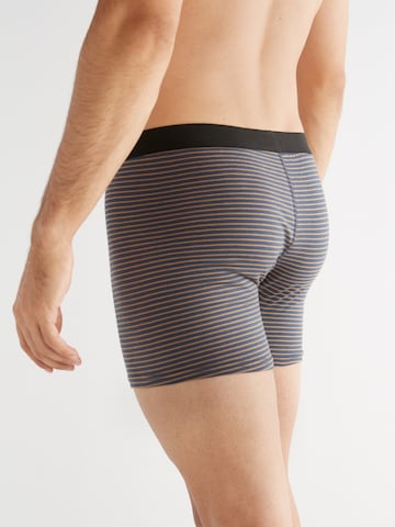 Albero Natur Boxershorts in Blau