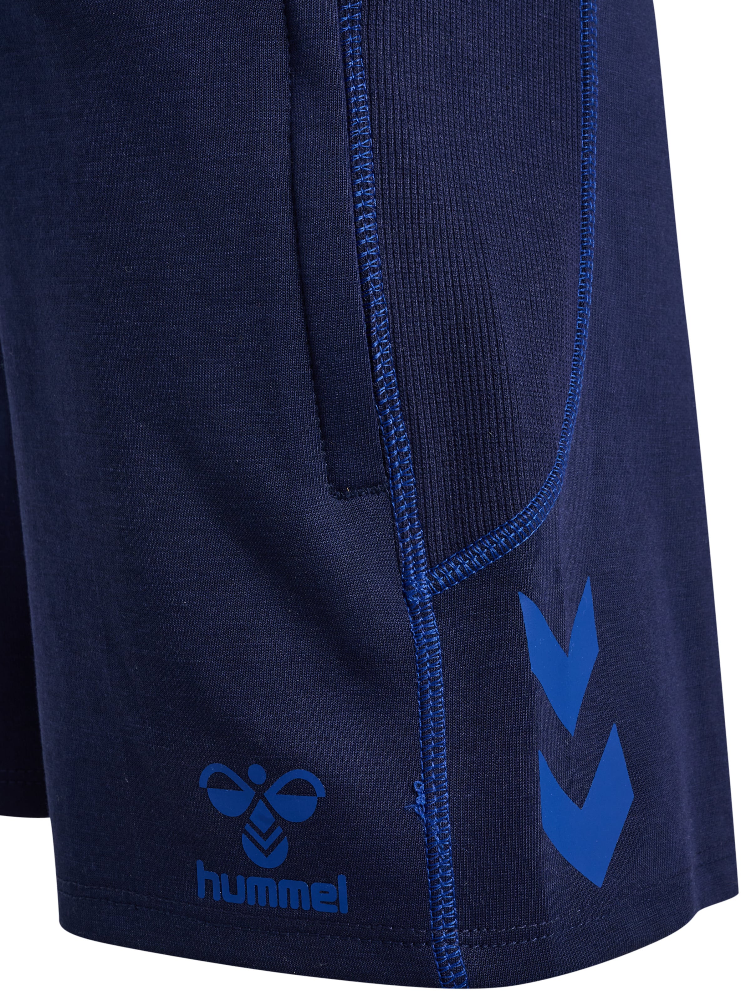 Hummel Regular Sports trousers in Blue