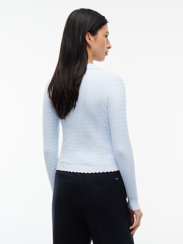 Tommy Jeans Pullover in Blau