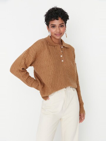 Pullover di Trendyol in marrone