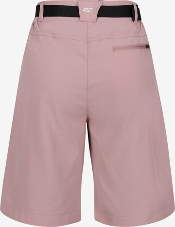 REGATTA Regular Outdoorshorts 'Xert It' in Pink