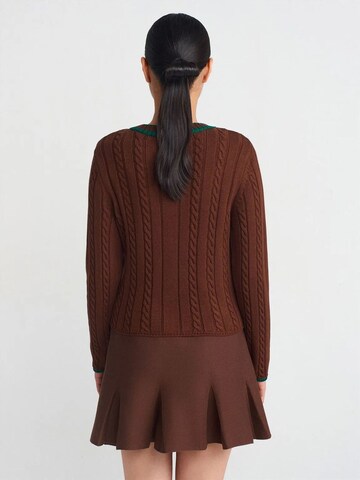 DilvinPulover 'Pullover' - smeđa boja