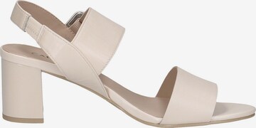 CAPRICE Sandalen met riem in Beige