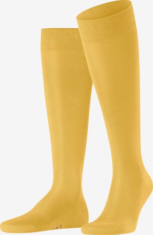 FALKE Knee High Socks 'Tiago' in Yellow: front