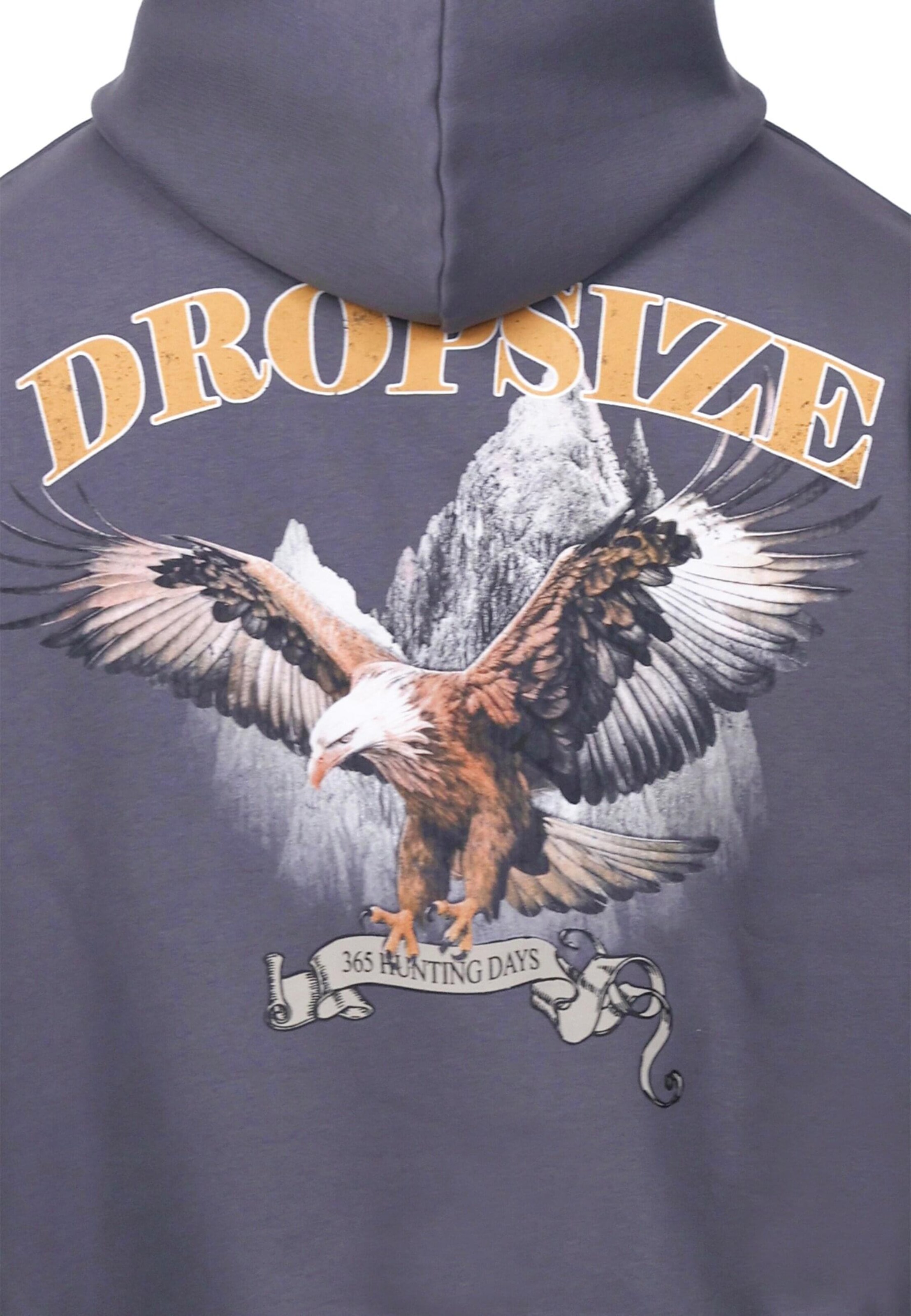 Dropsize Sweatshirt 'Eagle' in Grijs