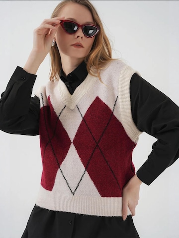 Pullover di Bigdart in rosso
