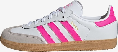 Sportbačiai 'Samba' iš ADIDAS ORIGINALS, spalva – kupranugario / neoninė rožinė / balkšva, Prekių apžvalga