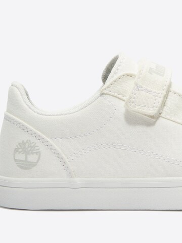 TIMBERLAND Trainers in White