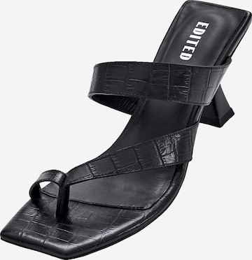 EDITED - Zapatos con plataforma 'Konradina' en negro: frente
