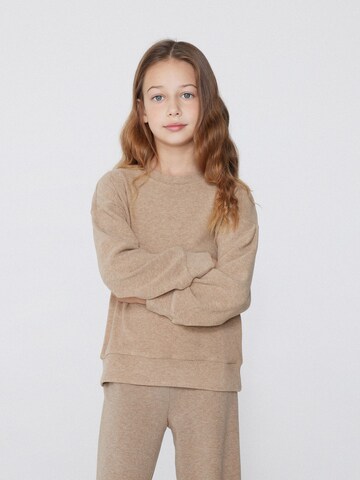 Tezenis Sweatshirt in Brown: front