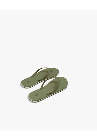 Scalpers Sandali | zelena barva