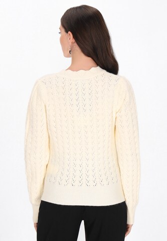 Pull-over usha BLACK LABEL en blanc