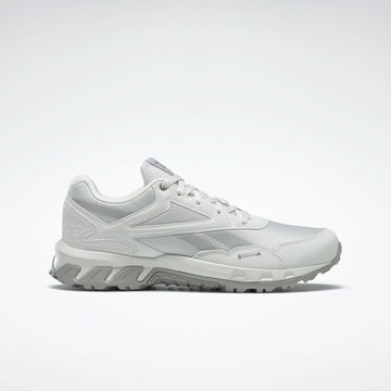 Reebok Sportschuh 'Ridgerider 5.0' in Grau