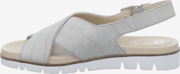 GERRY WEBER SHOES Sandals in Beige