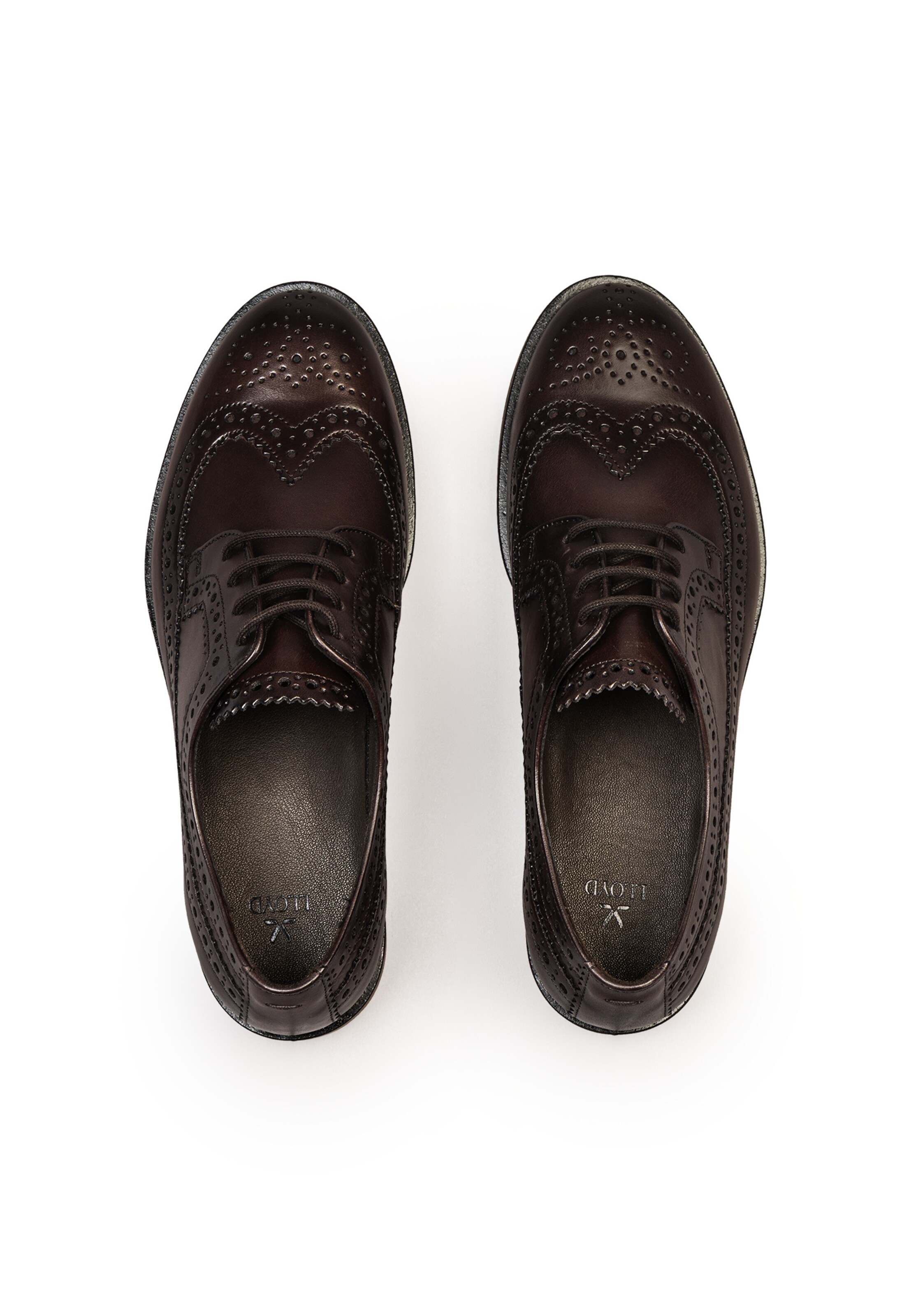 Chaussure à lacets 'WELKIN' LLOYD en marron