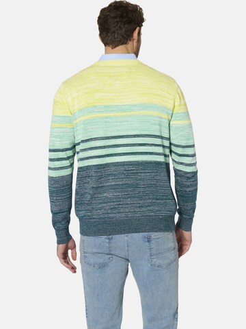 BABISTA Sweater 'Walnor' in Green