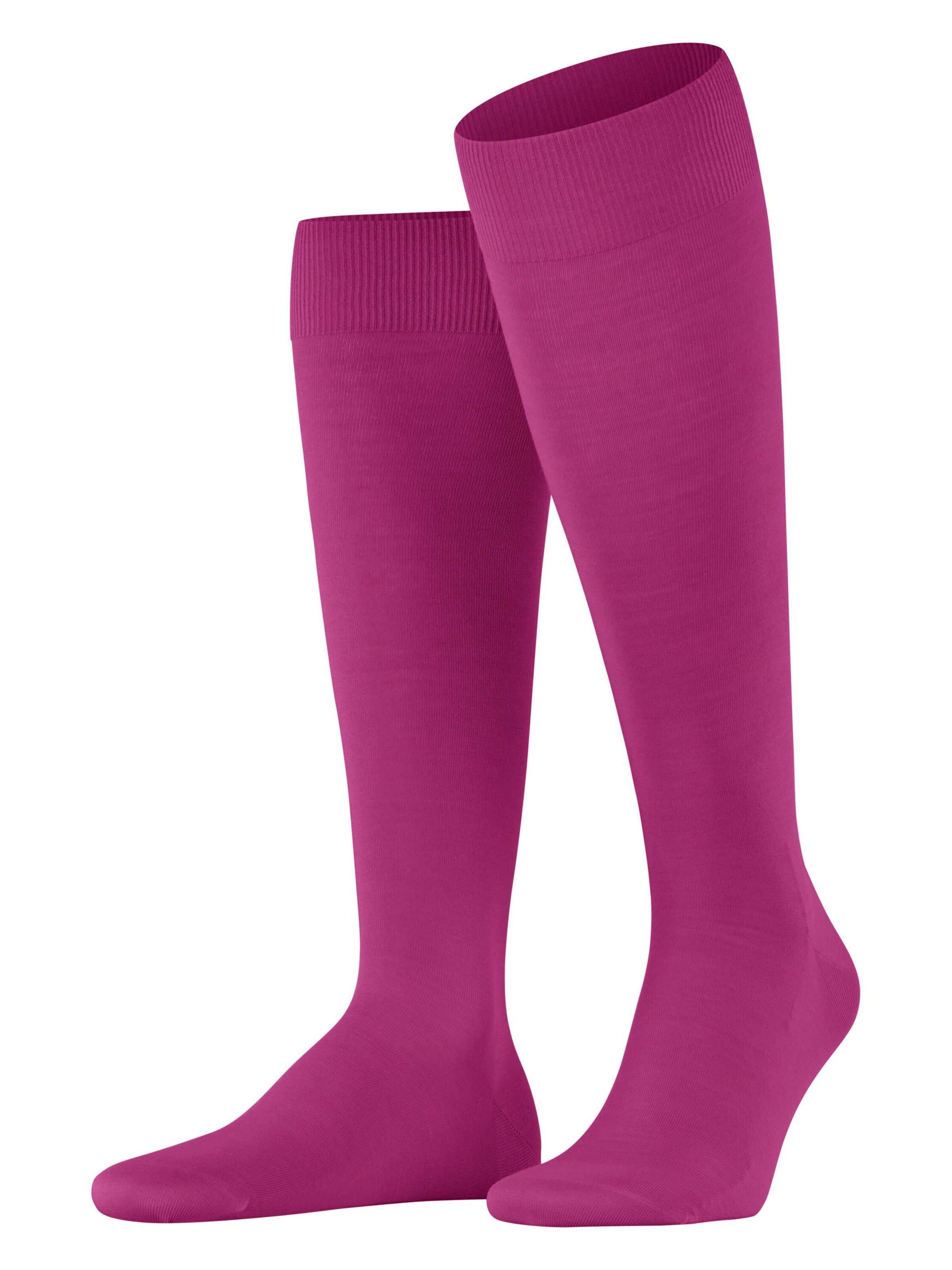 FALKE Knee High Socks 'ClimaWool' in Berry, Item view