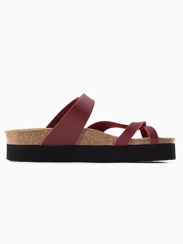 Bayton Muiltjes 'Andromac' in Rood