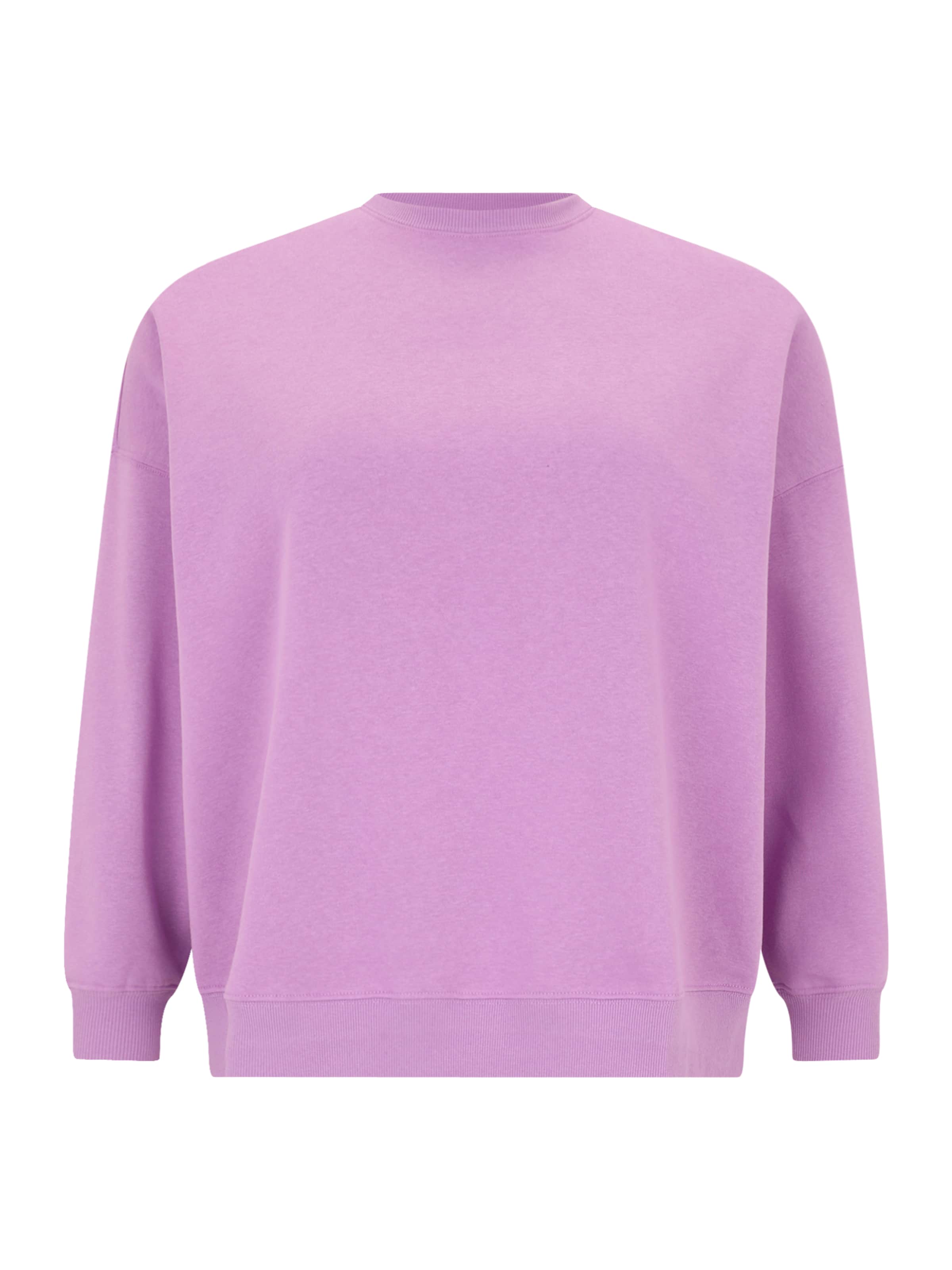 Sweat-shirt &#x27;PCFANY&#x27; PIECES Curve en violet : devant