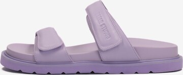 Kazar Studio Mules in Purple: front