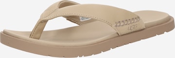 smėlio UGG Šlepetės per pirštą 'Seaside II': priekis