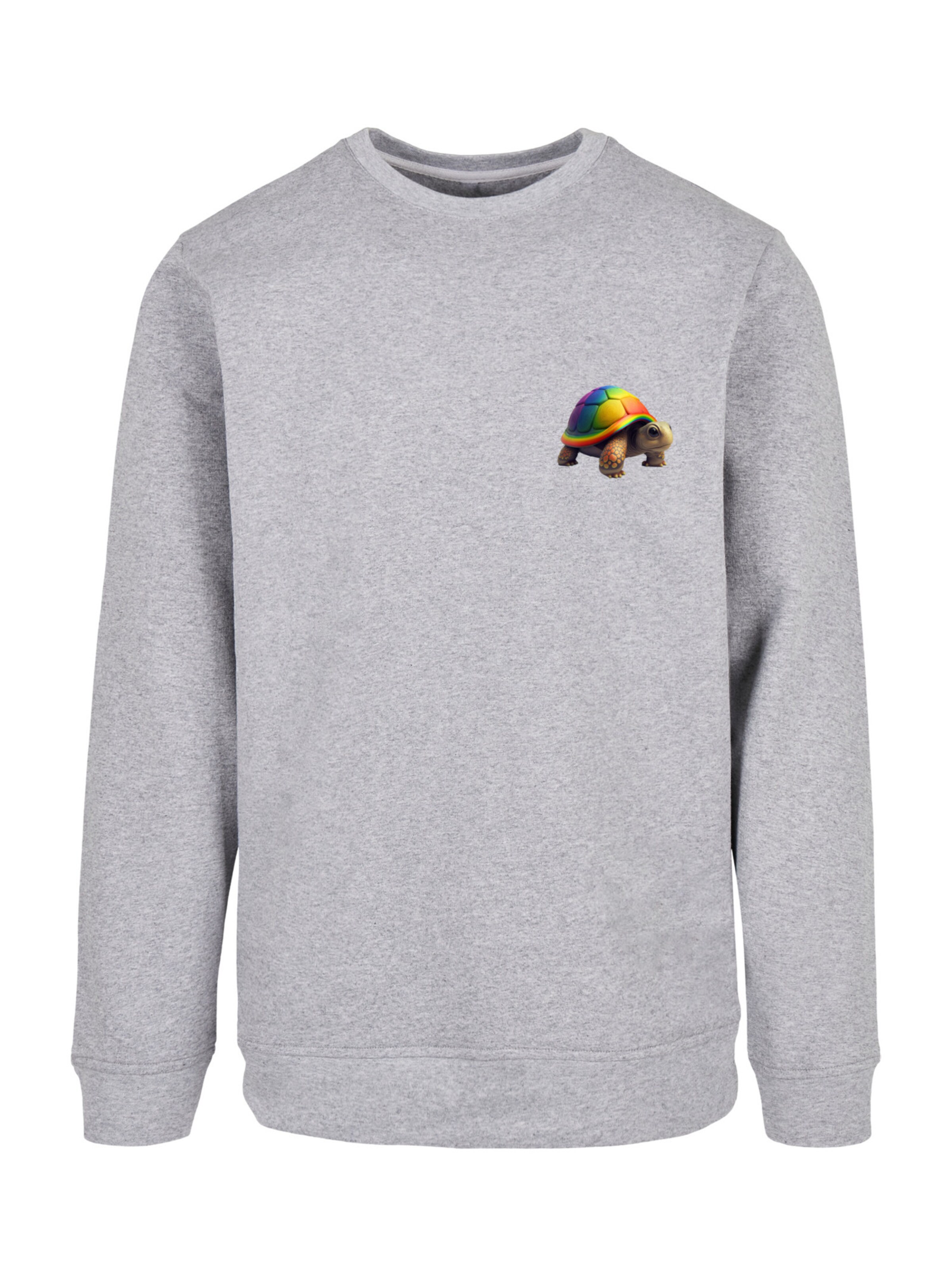 F4NT4STIC Sweatshirt 'Rainbow Turtle' in Grau: Vorderseite