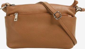 Cluty Crossbody Bag in Brown: front