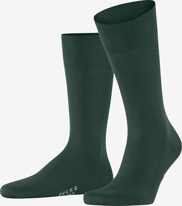 FALKE Socken 'Cool 24/7' in Grün: Vorderseite