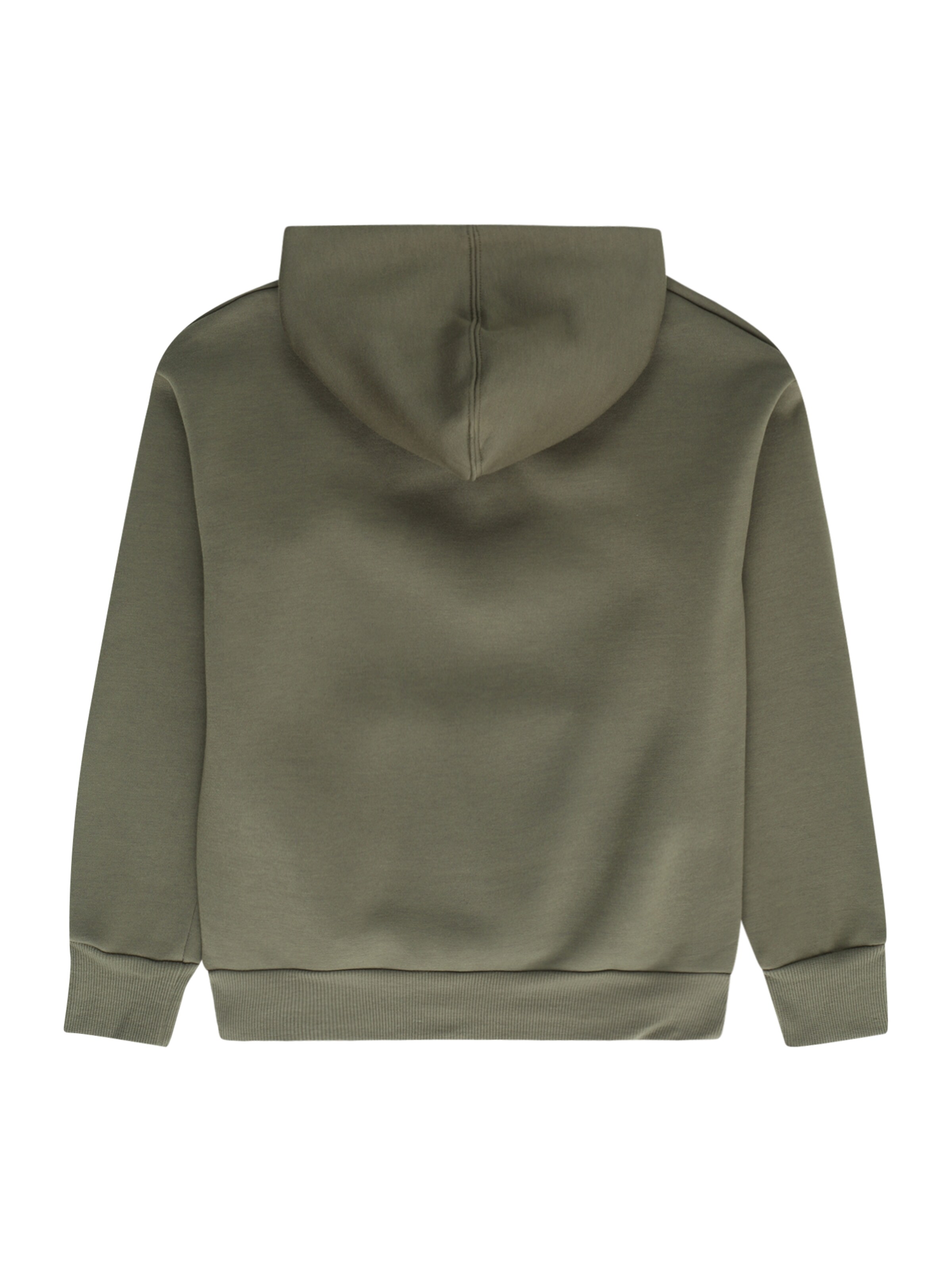 CONVERSE Sweatshirt in Green