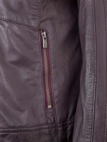 Jilani Between-Season Jacket in Purple