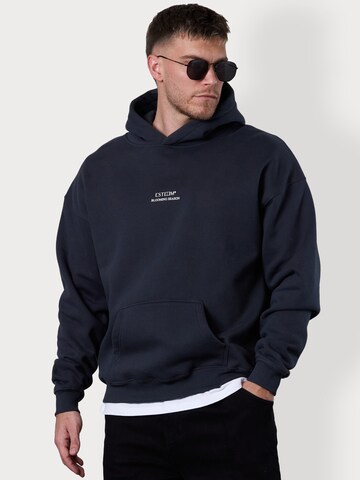 ESTEEM Sweatshirt in Grey: front