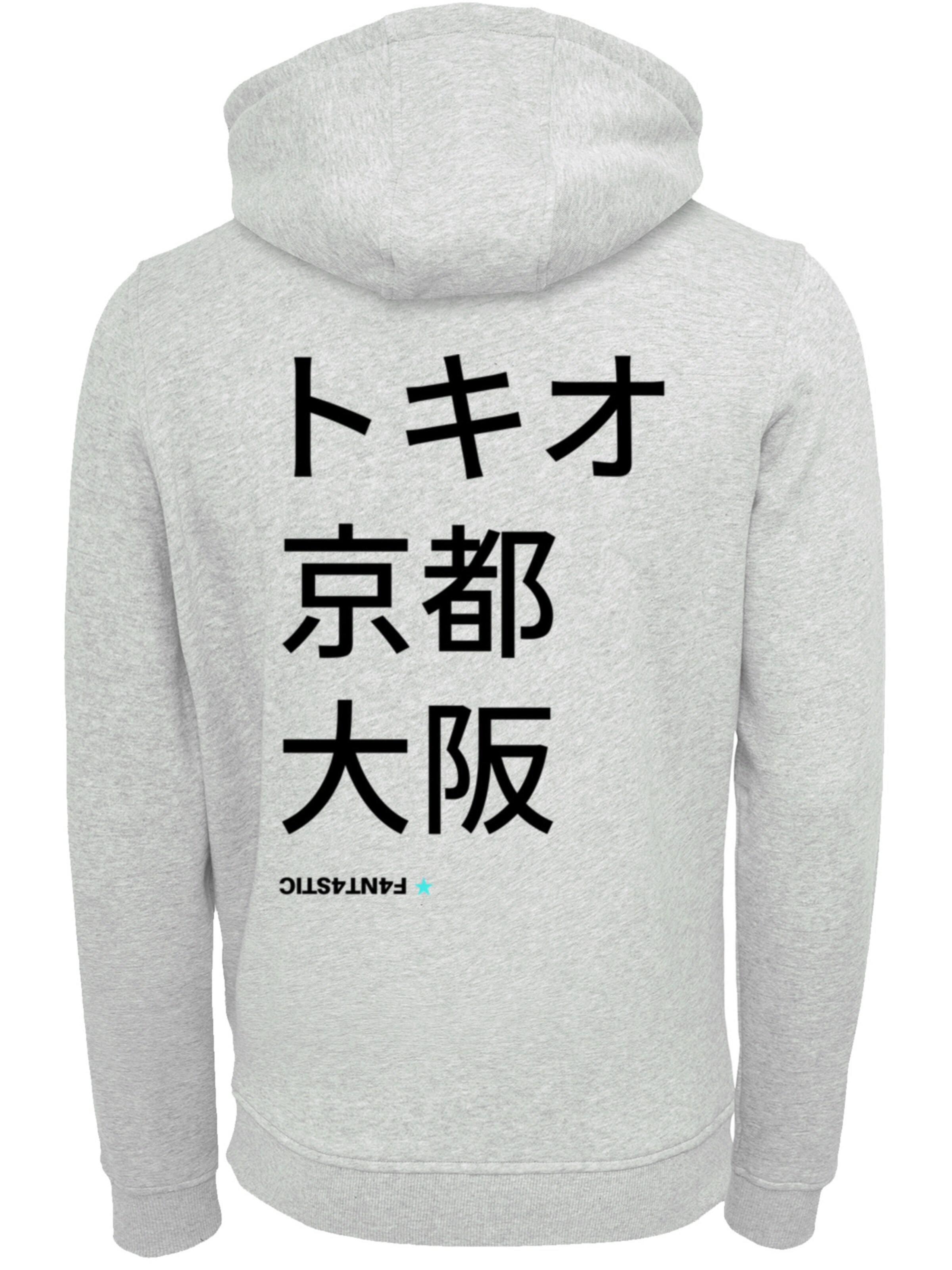 Sweat-shirt 'Tokio, Kyoto, Osaka' F4NT4STIC en gris