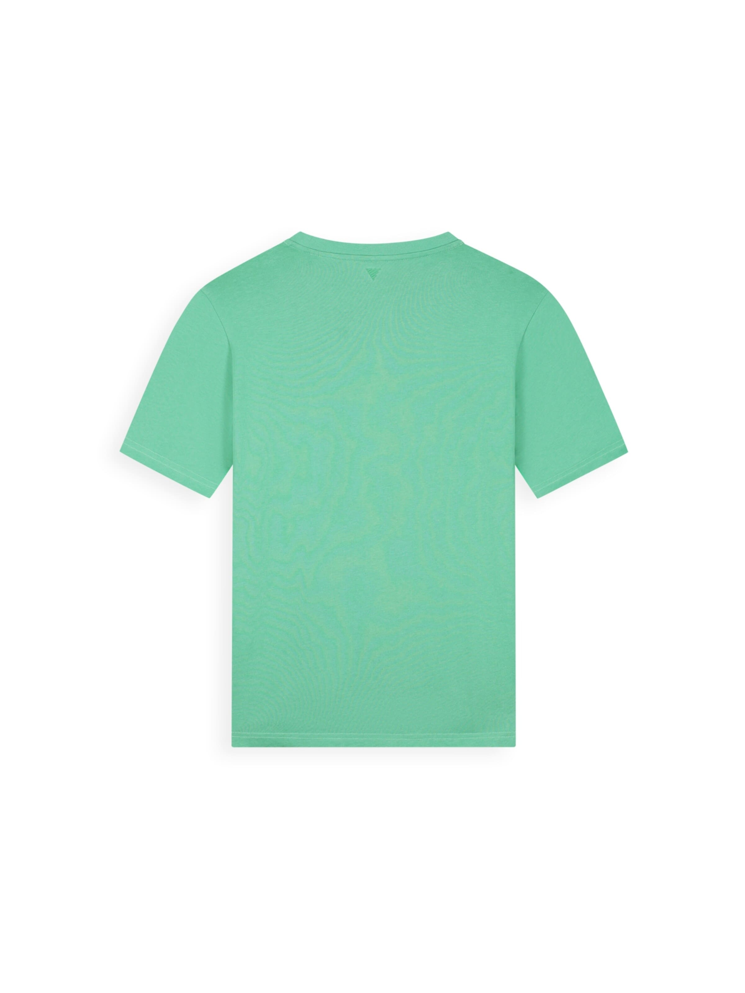 Pure Path Shirt in Green