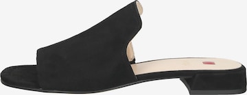 Högl Mules in Black