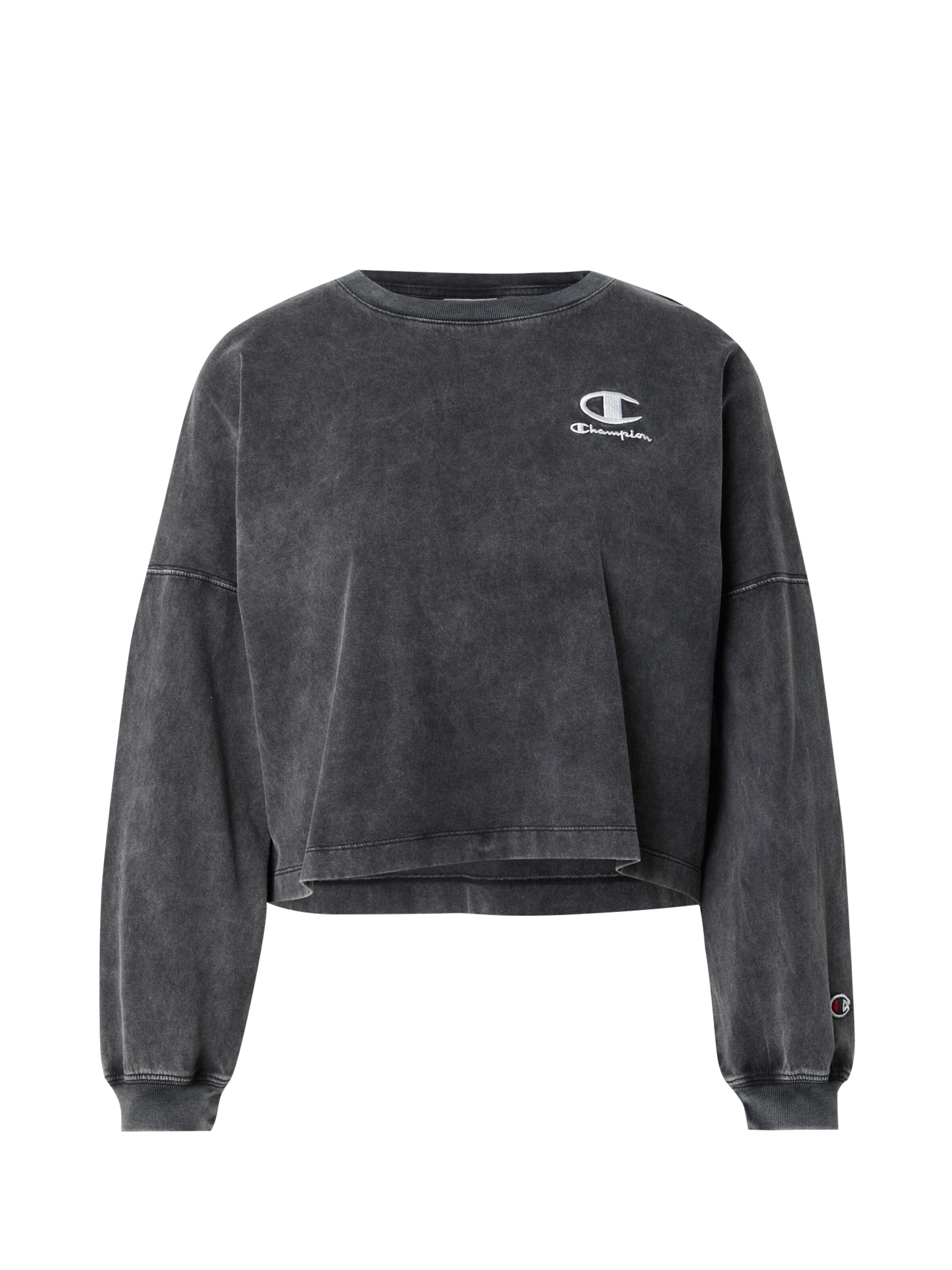 Champion Authentic Athletic Apparel Tričko - Čierna: predná strana