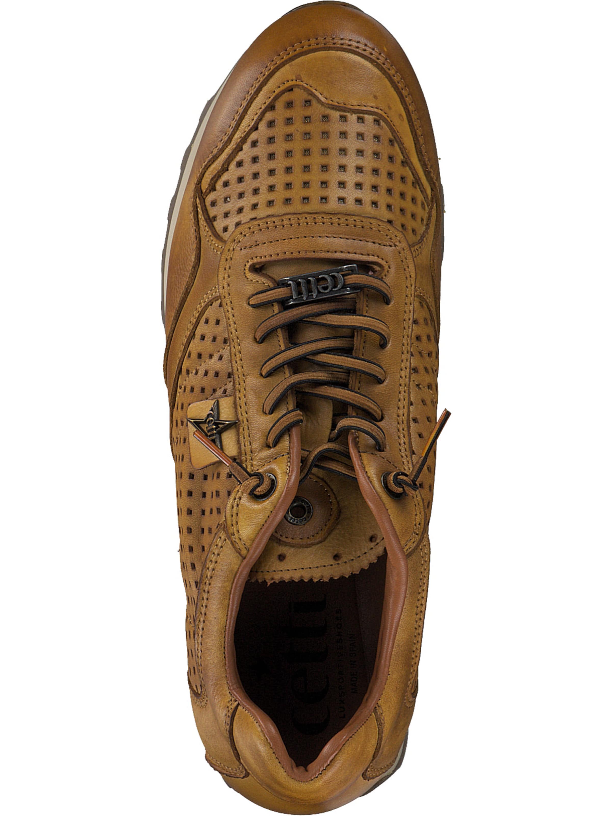 Cetti Veterschoen in Bruin